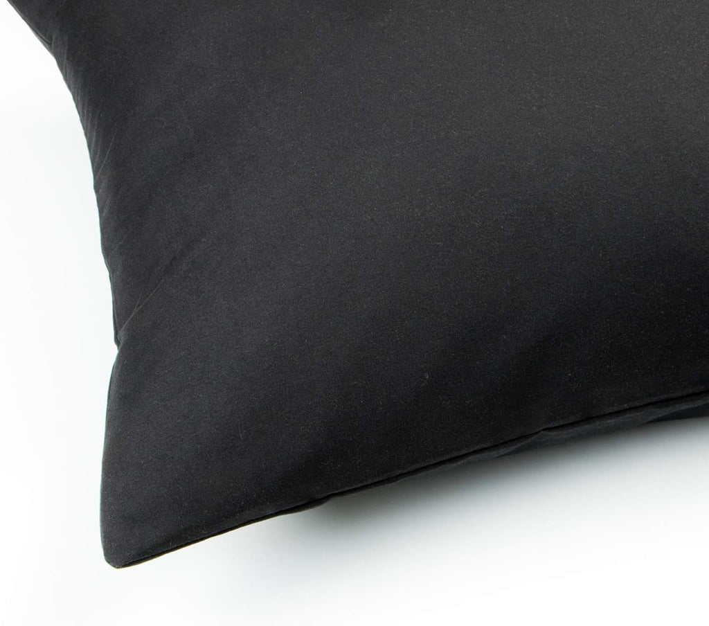 FLXXIE Pillow Cases Queen, Soft Microfiber Pillow Covers with Envelope Closure, Wrinkle Resistant Pillowcases, 2 Piece Set, 20x30, Black