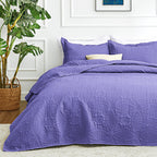 3 Piece Blue Queen Size Coin Pattern Lightweight All Season Quilt Bedspread Set with 2 Pillow Shams